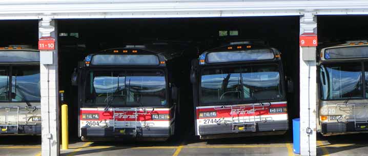 Port Authority Novabus 2604 & 2744